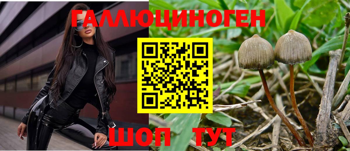 Псилоцибиновые грибы ЛСД Петропавловск-Камчатский