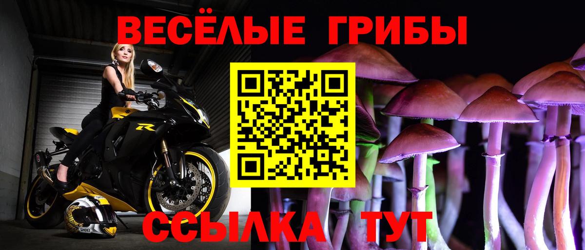 Петропавловск-Камчатский  Псилоцибиновые грибы Psilocybe  Вход с VPN 