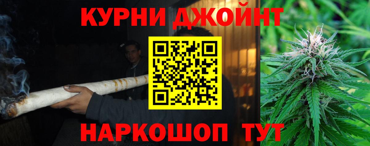 Бошки Шишки план Петропавловск-Камчатский